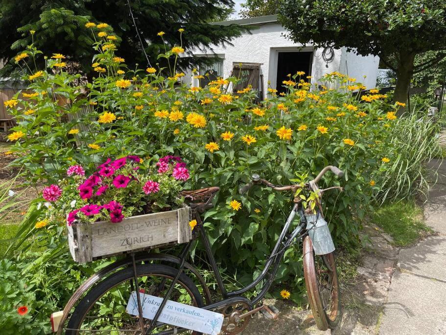 Tiny House Ostsee # Naturwerk Pruchten Екстериор снимка