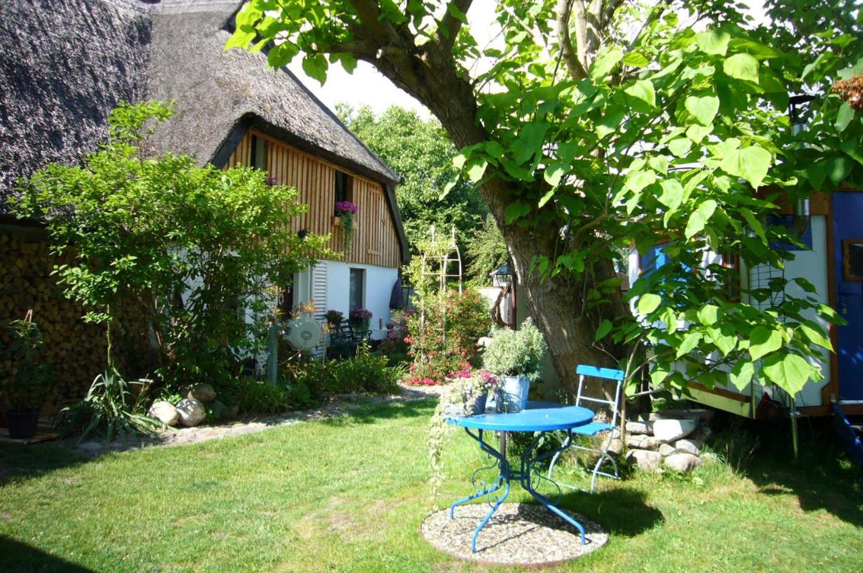 Tiny House Ostsee # Naturwerk Pruchten Екстериор снимка