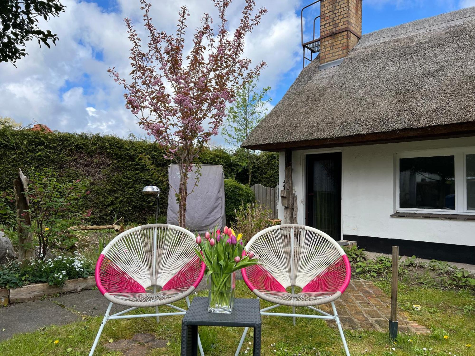 Tiny House Ostsee # Naturwerk Pruchten Екстериор снимка