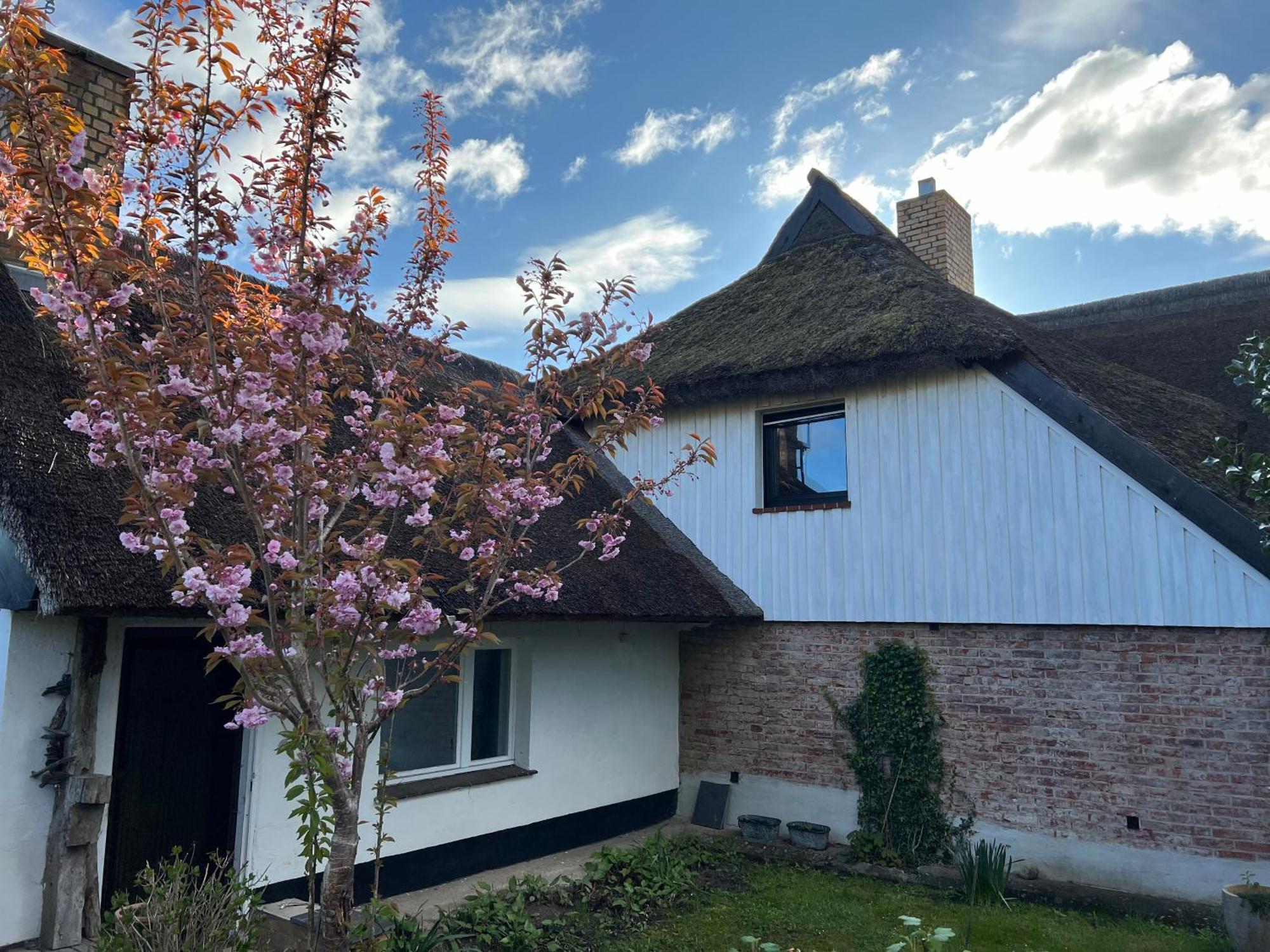 Tiny House Ostsee # Naturwerk Pruchten Екстериор снимка
